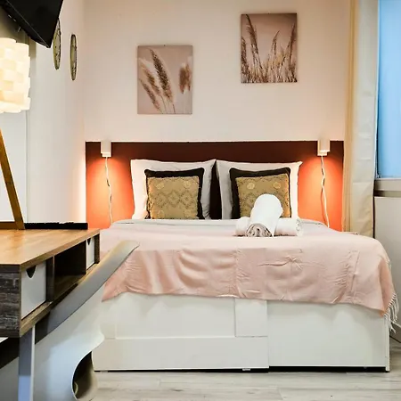 Large Between Train Station & Grand Place Appartement Lille